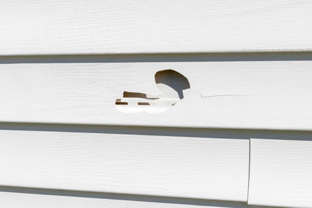 Best Custom Trim and Detailing for Siding  in Juneau, WI